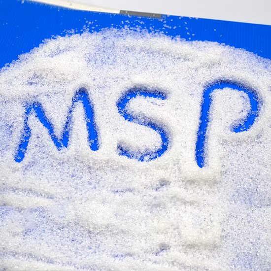 Dihidrogenofosfato de sódio Msp do catalisador da matéria prima dos intermediários farmacêuticos